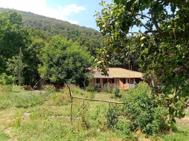 Casa rural  Monforte de Lemos