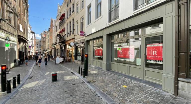 Holiday apartment | Next to Manneken Pis | Pets allowed — photo 4