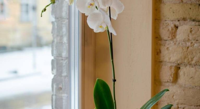 Holiday apartment | Next to Presidential Palace of the Republic of Lithuania | Pet-friendly — photo 4