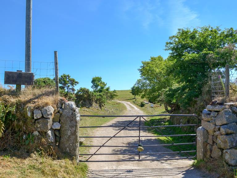 foto16