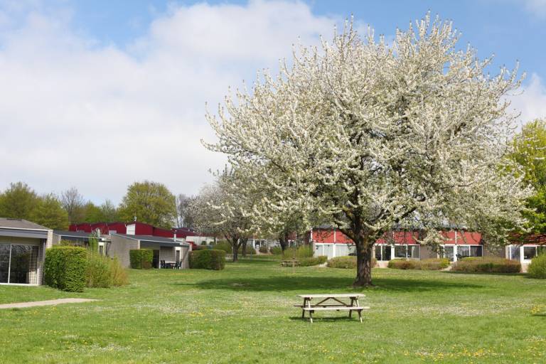 Bungalow Schin op Geul