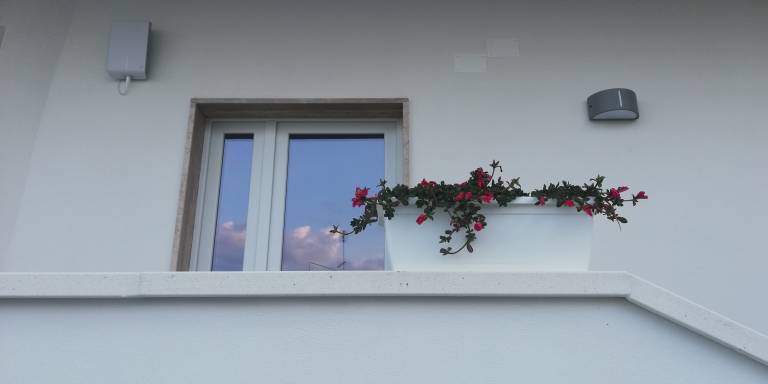 Charming private room | Sea view | Pets allowed — photo 3
