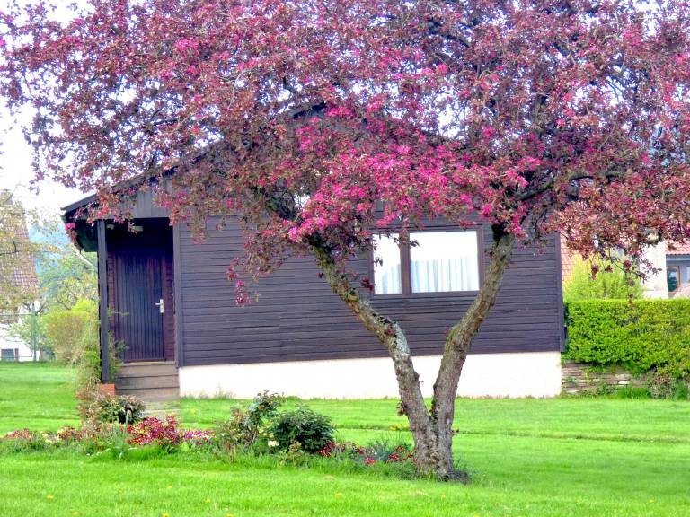 Ferienhaus  Alfeld (Leine)