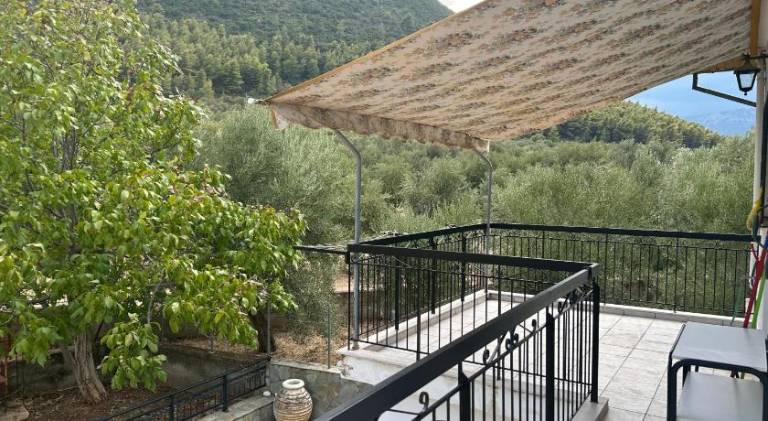 Holiday apartment with yard & patio | Pets are welcome — photo 3