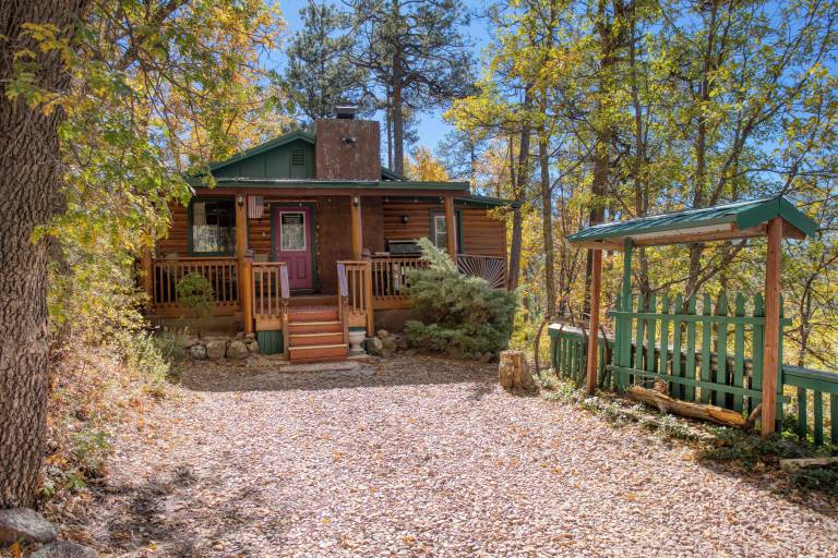 Cabin Pinetop