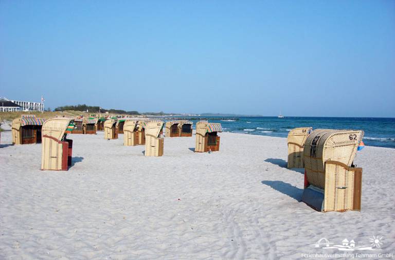Family-oriented beautiful rental apartment | Next to the beach | Pets are welcome in Fehmarn