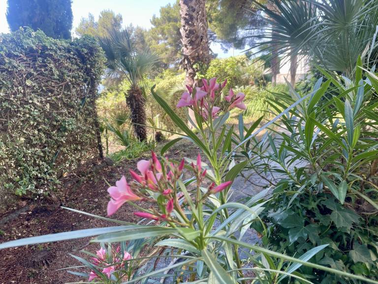 Villa Riva ligure