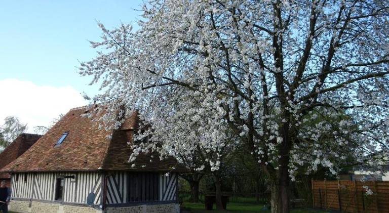 60 m&sup2; Ferienhaus