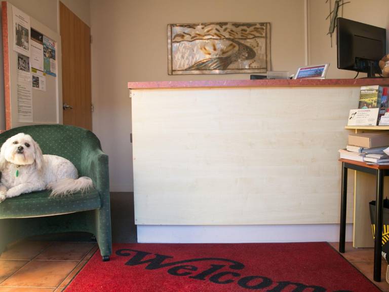 Bella Vista Motel Blenheim — photo 2