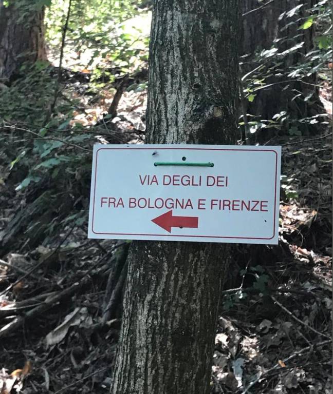 foto44