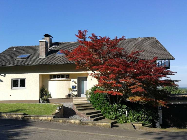 foto7