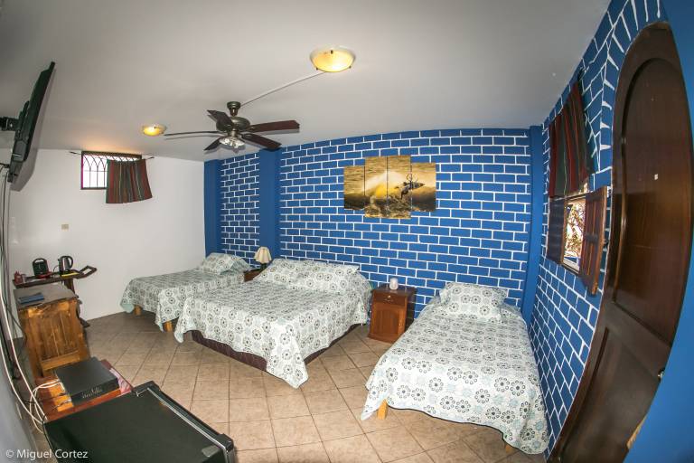 foto7