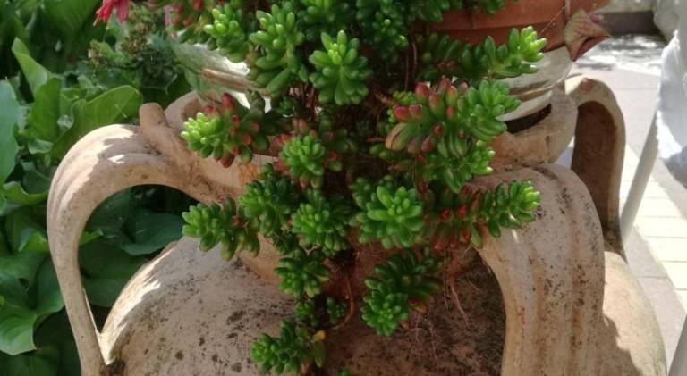 foto31