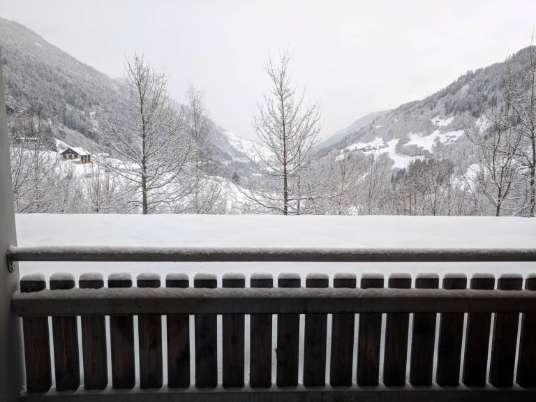 Disentiserhof Haus C Grabinsky, (Disentis/Mustér). — photo 3