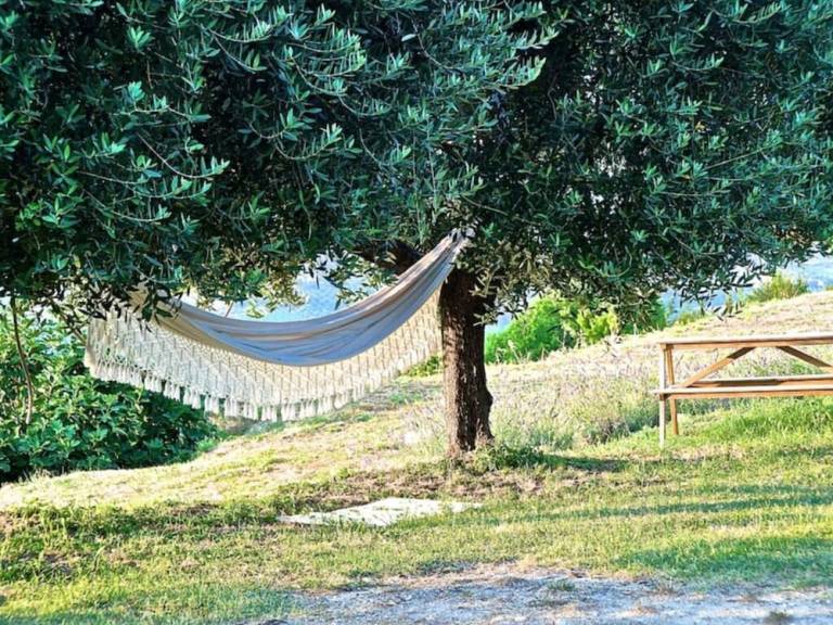 Apartment  Ripatransone