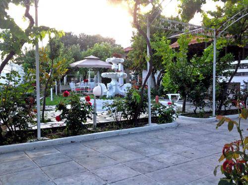 foto8