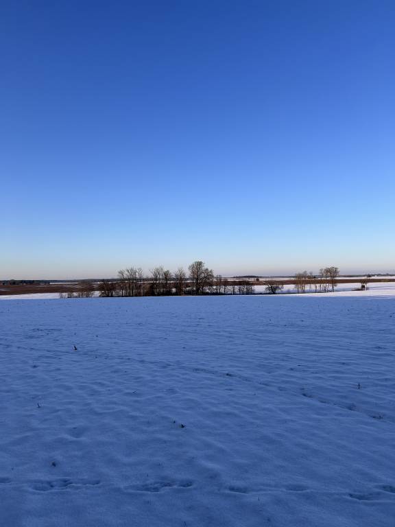 foto4