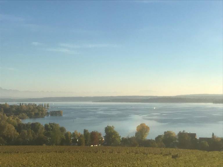 foto20