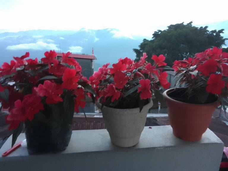 foto28