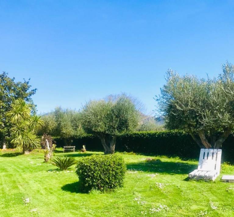 foto20