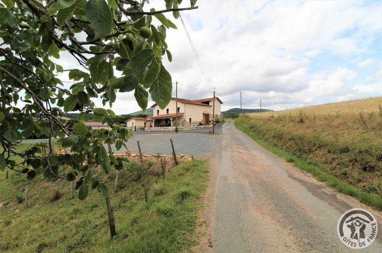 foto6
