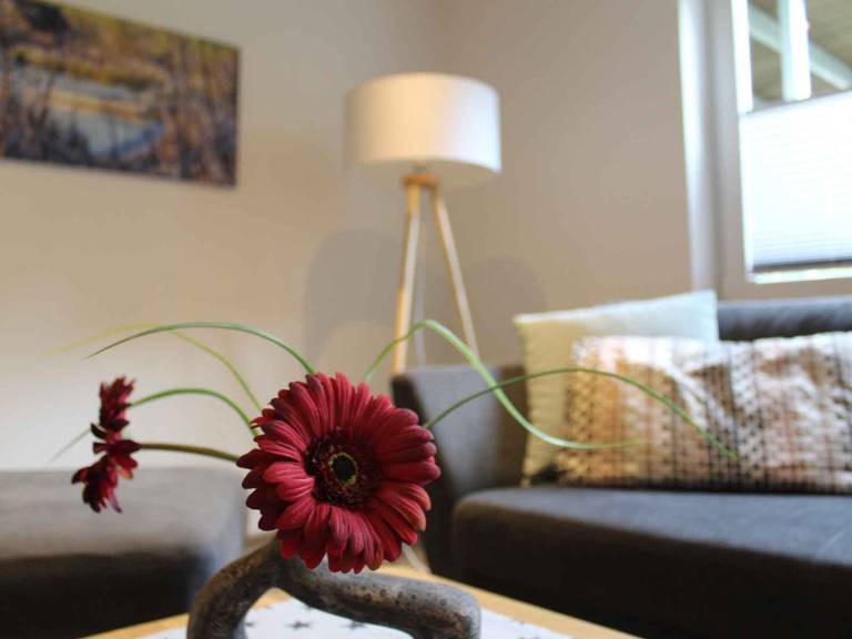 Ferienwohnung Grafschaft