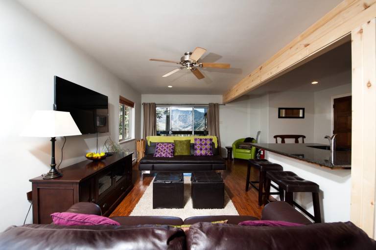 Completely Remodeled Ski in/Ski Out condo - Amazing Views and Great Deck — photo 4