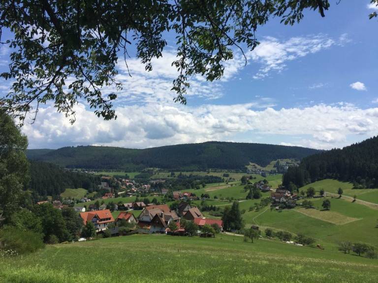 foto18
