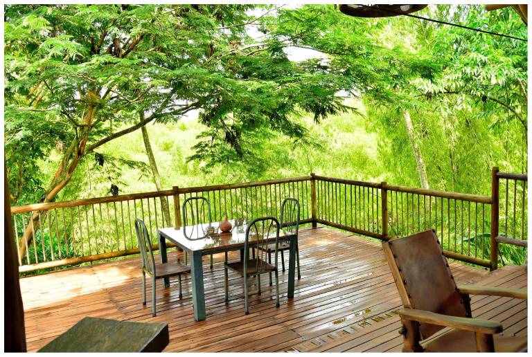 Villa with yard, pool & grill | Pets allowed in Quimbaya