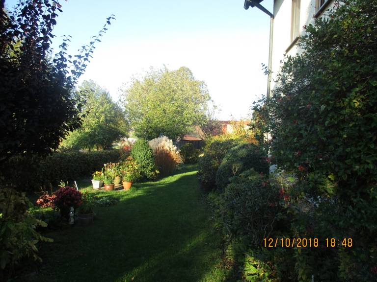 foto7