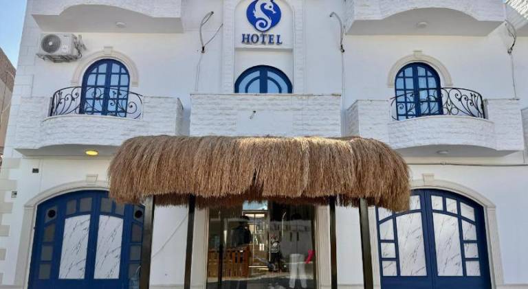 Sea Horse Hotel Dahab — photo 4