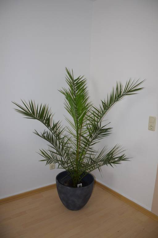 foto20