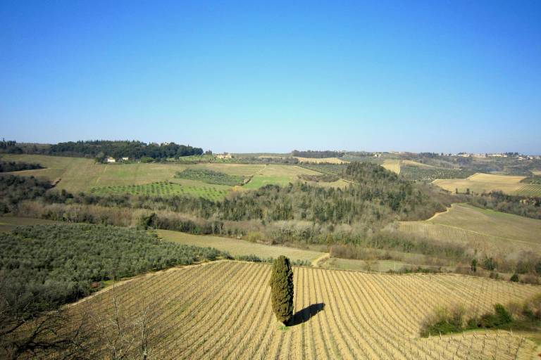 foto12