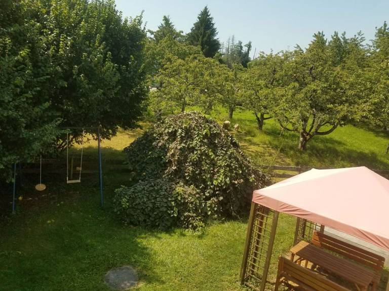 foto35