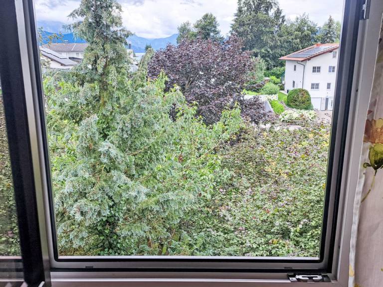 foto31