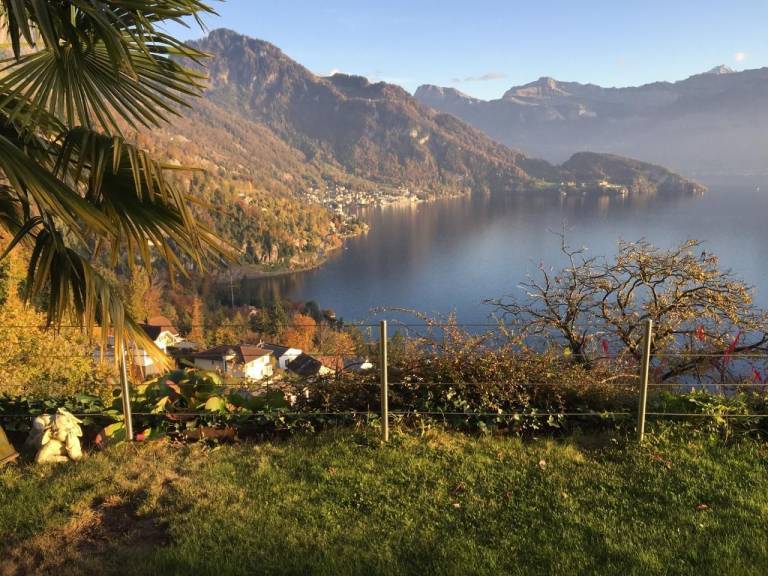 foto11