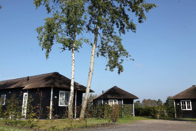 Ferienhaus  Hoge Hexel