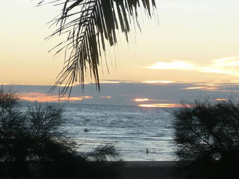Huis  Ambaro