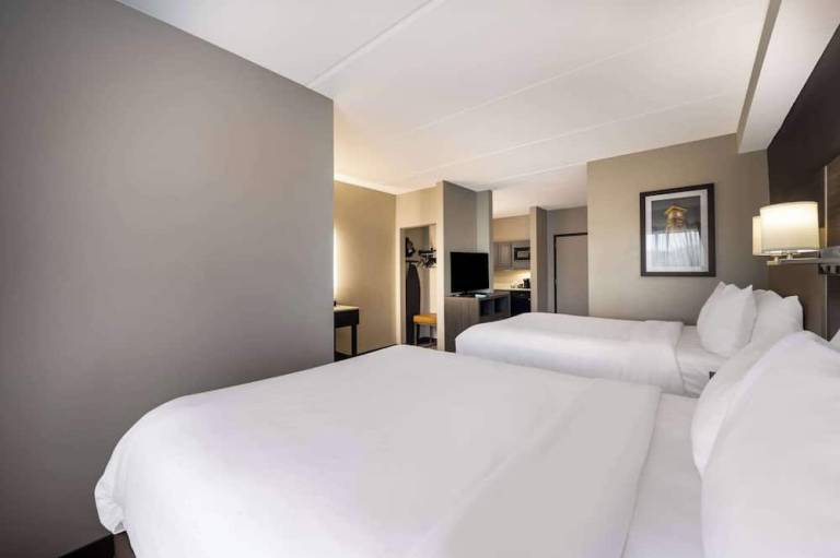 Comfort Suites Northlake