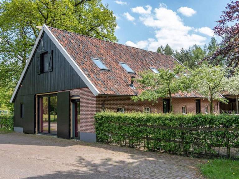 DG696 Ferienhaus im Aalten