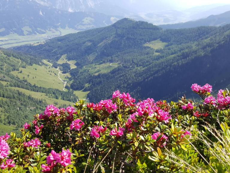 foto16