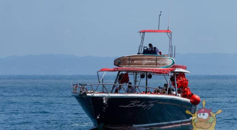 Boat | Pets are welcome — photo 2