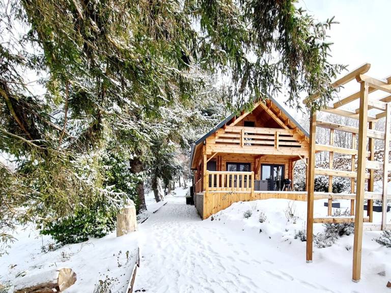 Maison de vacances Abreschviller