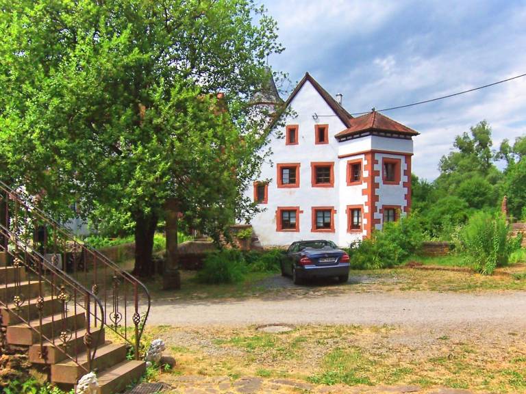 foto2