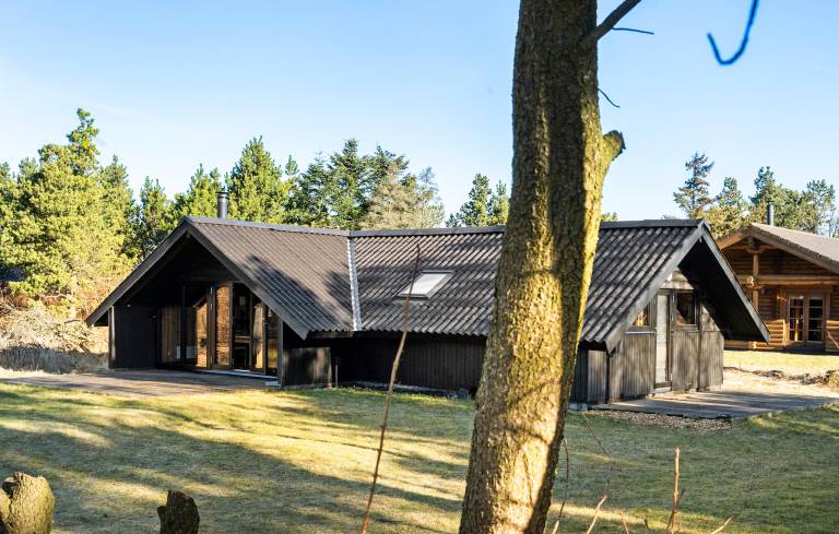 Feriehus Skjern