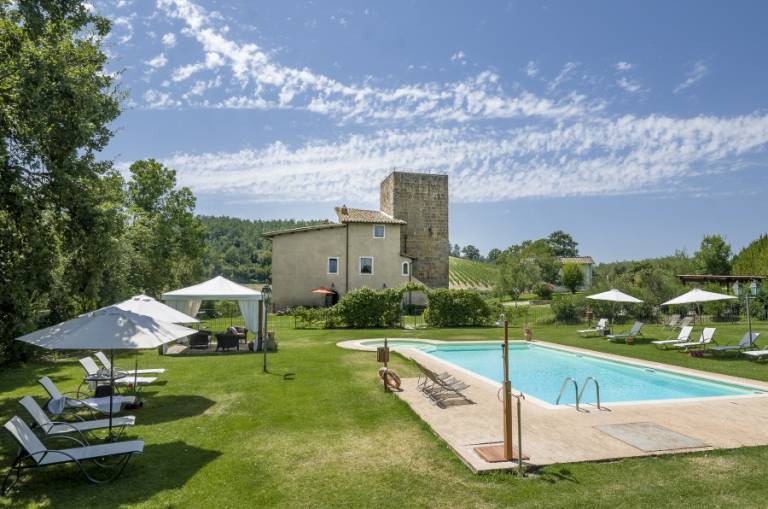 Tenuta La Torraccia: ULIVO — photo 2