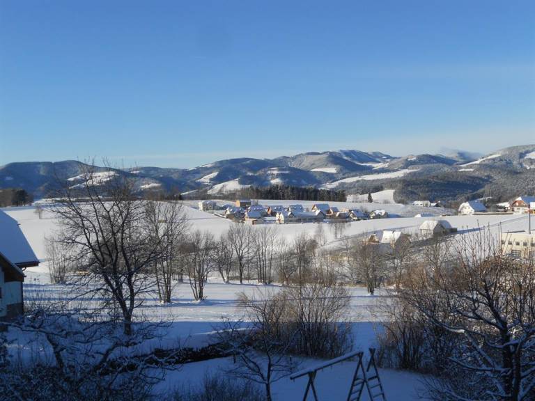 foto2