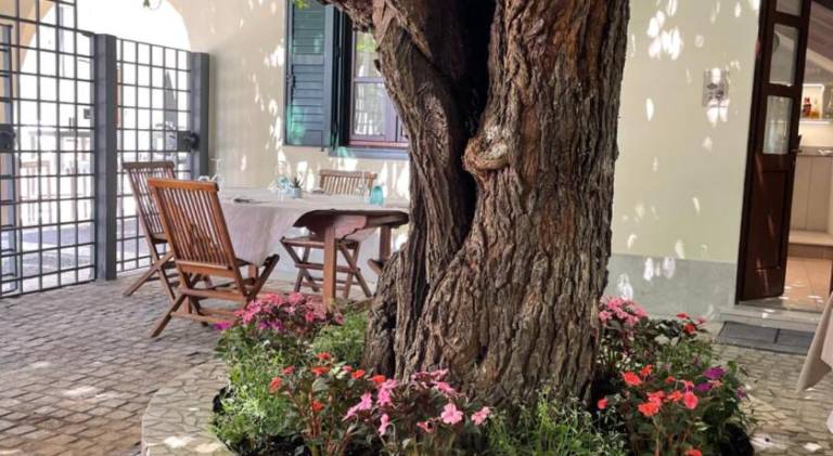 Antica Locanda al Gelso — photo 2