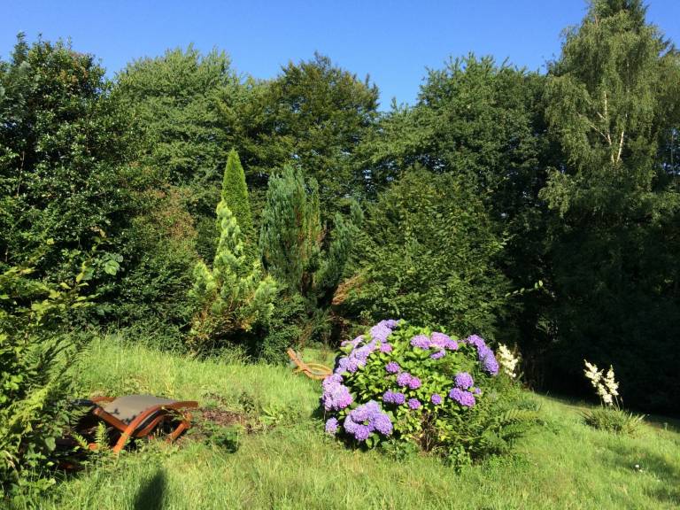 foto4