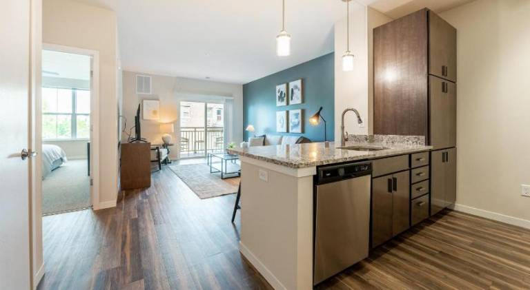 Landing Apartments - The Preserve at Great Pond — photo 3